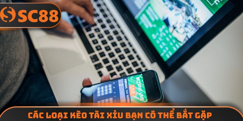 Các loại kèo tài xỉu bạn có thể bắt gặp