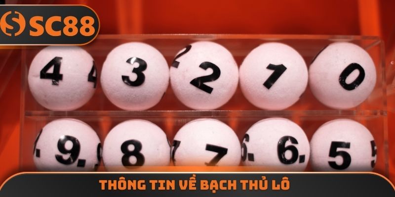 Thông tin về bạch thủ lô